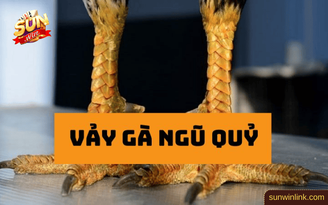 Vảy gà ngũ quỷ là gì? Đặc điểm và cách chọn cùng Sunwin