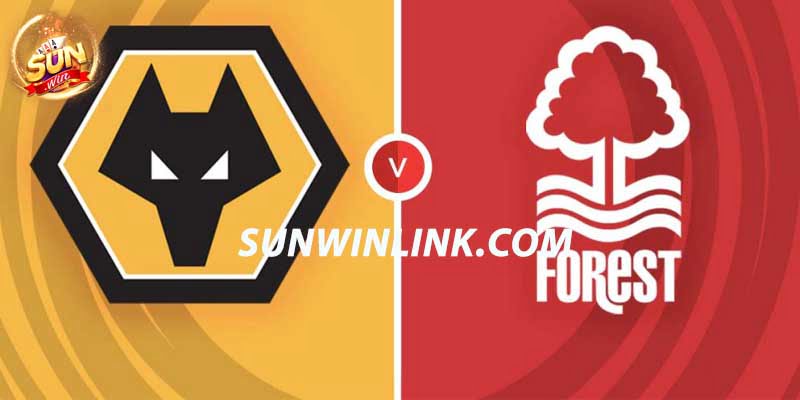 Dự đoán Wolves vs Nottingham Forest ngày 9/12 ở Sunwin