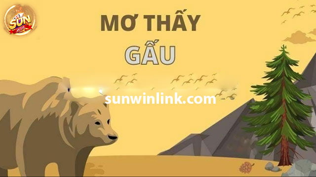 Mơ thấy gấu đen và 5+ lời giải đáp chi tiết