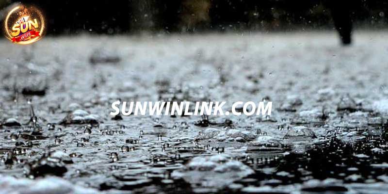 Mơ thấy mưa và 7 cách giải mã giấc mơ hay tại Sunwin