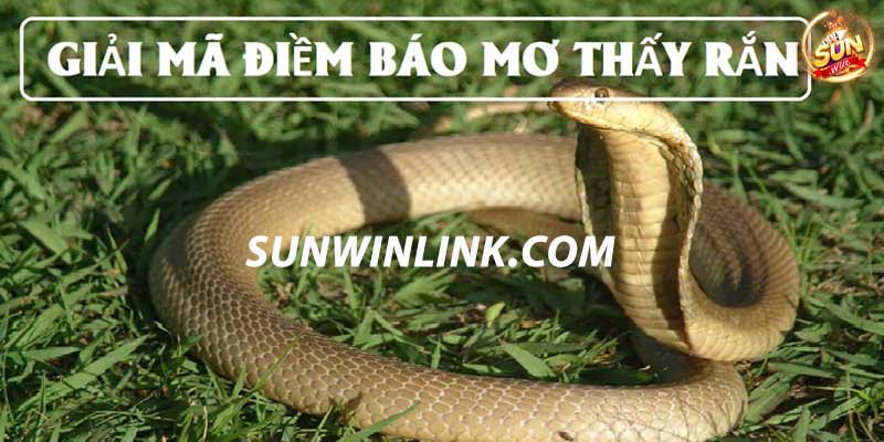 Nằm mơ thấy rắn chui vào người