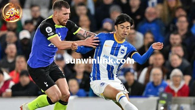 Đội hình dự kiến của hai đội Brighton vs Tottenham 