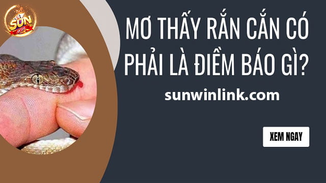 Mơ thấy rắn cắn là điềm rủi? Tìm hiểu sự thật ở Sunwin