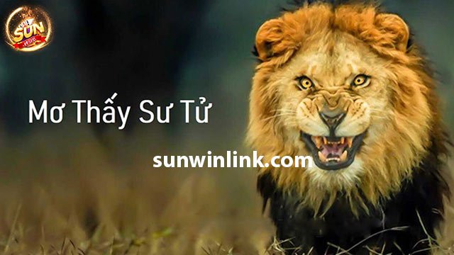 Nằm ngủ mơ thấy con sư tử trắng