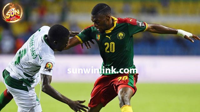 Đội hình dự kiến trận đấu Cameroon vs Guinea