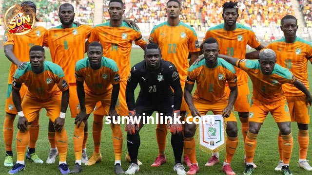 Đội hình dự kiến trận đấu Bờ Biển Ngà vs Nigeria