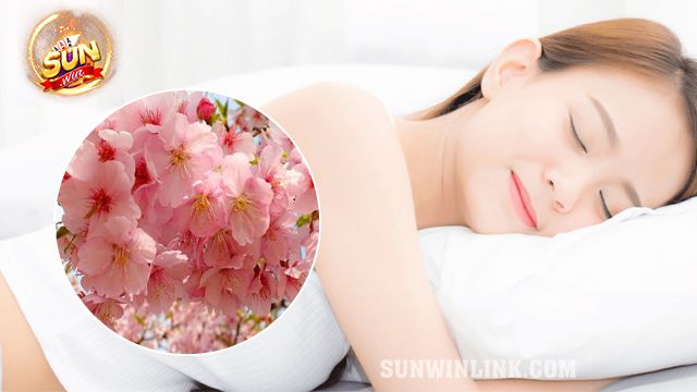 Mơ thấy hoa anh đào - Vén màn sự thật thú vị tại Sunwin