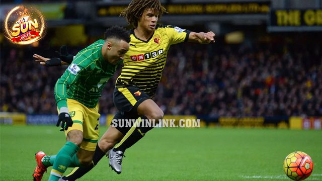 Nhận định kèo chấp trận đấu giữa Norwich City vs Watford