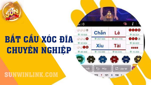 Bắt cầu xóc đĩa chuyên nghiệp với vài mẹo nhỏ tại Sunwin