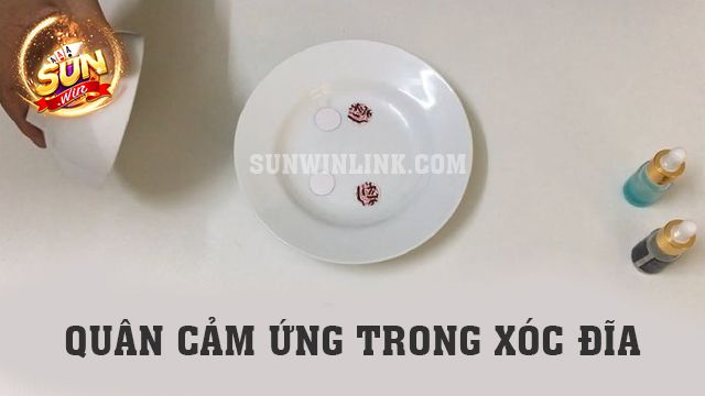 Quân cảm ứng trong xóc đĩa và cách nhận biết chúng ở Sunwin